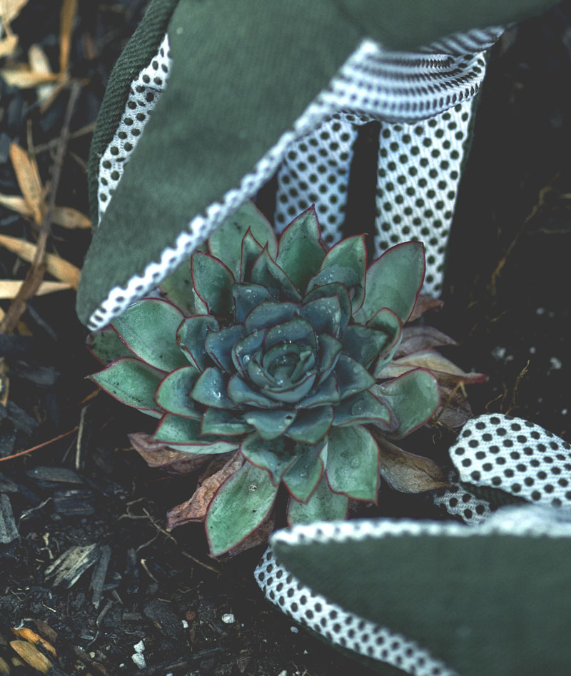 Entorno en Verde diseño y mantenimiento de jardines